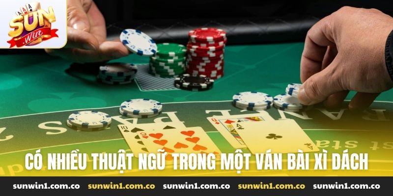 Có nhiều thuật ngữ trong một ván bài xì dách trực tuyến