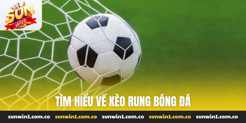 Tìm hiểu về kèo rung bóng đá